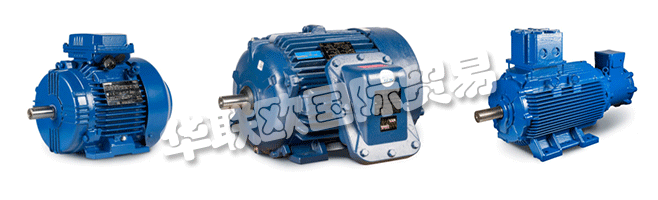 Regal的商業(yè)組織與CEMP?Srl一起，通過遍布許多國家的代理商，