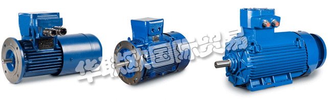 Regal成立于1954年，擁有CEMP?Srl，是意大利首批生產(chǎn)防爆防爆電機(jī)的公司之一。