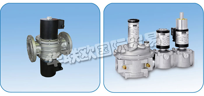 意大利ECONEX公司主要供應：意大利ECONEX閥門,ECONEX電動執行器，旋轉執行器，電磁閥，蝶閥，球閥，調節閥，氣體過濾器，接頭，軟管，壓力開關，變壓器，壓力表，渦輪燃氣表等產品。