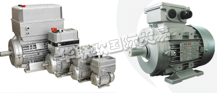 意大利BERMAR公司的主要產品包括：意大利BERMAR電機、BERMAR電動機、異步電機、異步電動機、永磁發動機、逆變器、伺服通風電動機、伺服電動機、工業洗衣機電動機、單相電動機、DRIVEJET鼓風機、高效電機、泵、風扇、工業壓縮機。
