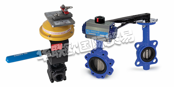 美國STRAHMAN閥門產品描述(STRAHMAN閥門產品功能和選項)